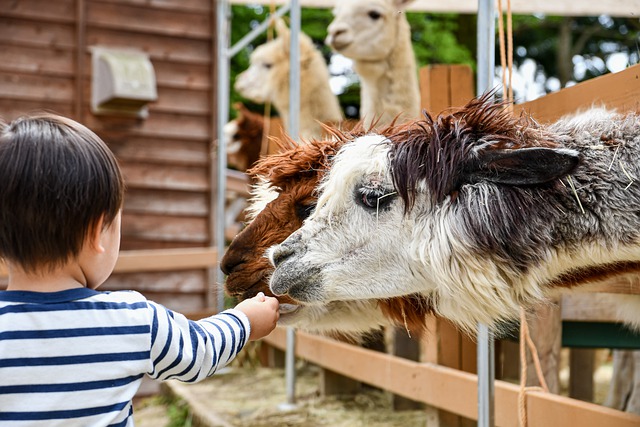 Curso de auxiliar veterinario y cuidador de animales de zoológico en Las Palmas