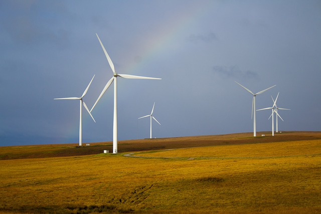 Curso de energías renovables en Las Palmas